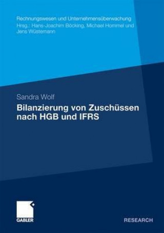 Kniha Bilanzierung Von Zuschussen Nach Hgb Und Ifrs Sandra Wolf