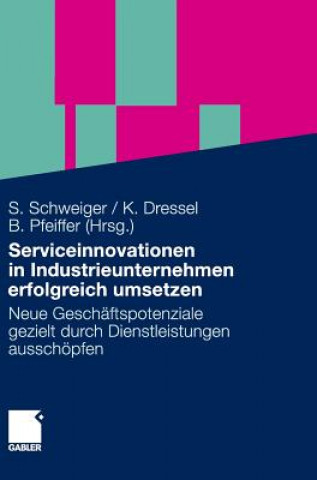 Kniha Serviceinnovationen in Industrieunternehmen Erfolgreich Umsetzen Stefan Schweiger