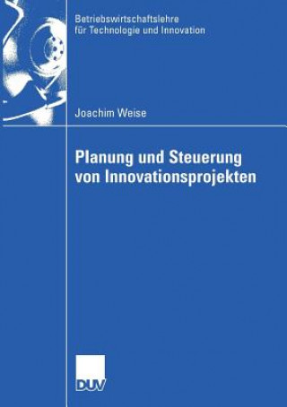 Książka Planung Und Steuerung Von Innovationsprojekten Prof. Dr. Hans Georg Gemünden