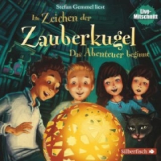 Audio Im Zeichen der Zauberkugel 1: Das Abenteuer beginnt, 1 Audio-CD Stefan Gemmel