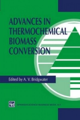 Carte Advances in Thermochemical Biomass Conversion A.V. Bridgwater