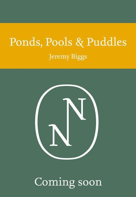 Książka Ponds, Pools and Puddles Jeremy Briggs