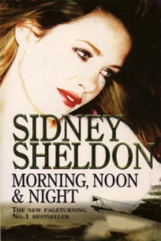 Книга Morning, Noon and Night Sidney Sheldon