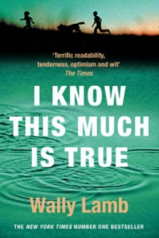Книга I Know This Much is True Wally Lamb