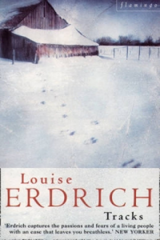 Kniha Tracks Louise Erdrich