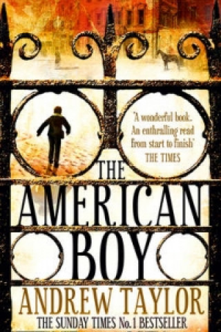 Kniha American Boy Andrew Taylor