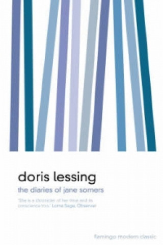 Kniha Diaries of Jane Somers Doris Lessing