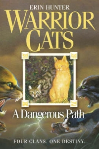 Kniha Dangerous Path Erin Hunter