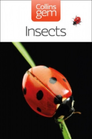Knjiga Insects Michael Chinery