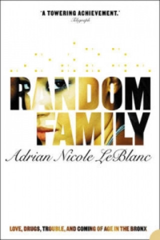 Boek Random Family Adrian Nicole LeBlanc
