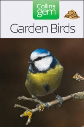 Könyv Garden Birds Stephen Moss