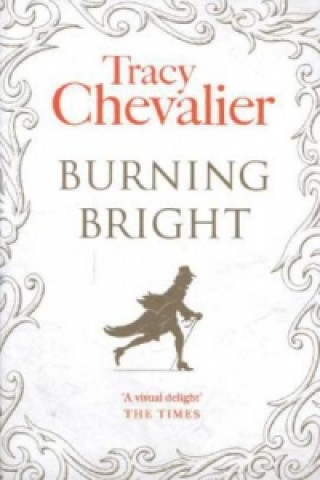 Book Burning Bright Tracy Chevalier
