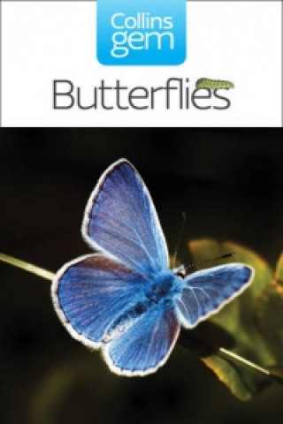 Kniha Butterflies Michael Chinery