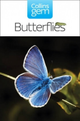 Buch Butterflies Michael Chinery