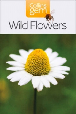 Carte Wild Flowers Patrick Harding
