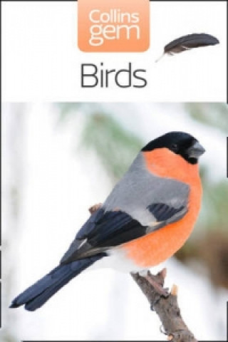 Könyv Birds Jim Flegg