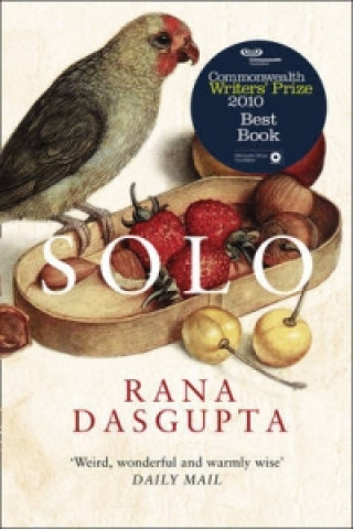 Livre Solo Rana Dasgupta