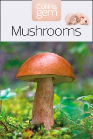 Kniha Mushrooms Patrick Harding
