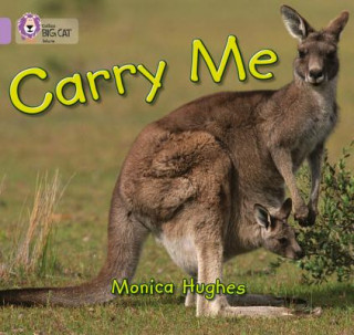 Könyv Carry Me Monica Hughes