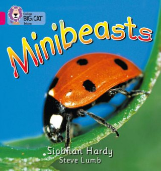 Kniha Minibeasts Siobhan Hardy