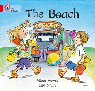 Kniha Beach Alison Hawes