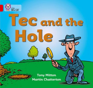 Libro Tec and the Hole Tony Mitton