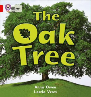 Book Oak Tree Anna Owen