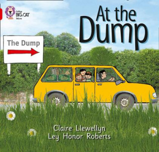 Livre At the Dump Claire Llewellyn