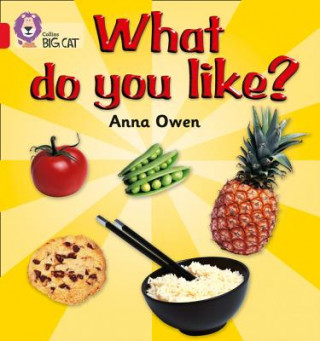 Könyv What do you like? Anna Owen