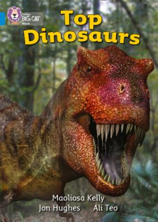 Boek Top Dinosaurs Ali Teo