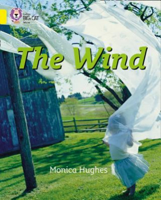 Kniha Wind Monica Hughes
