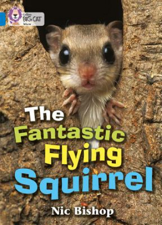 Kniha Fantastic Flying Squirrel Nic Bishop