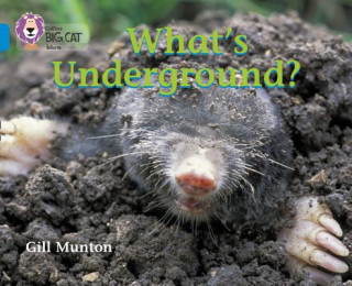 Книга What's Underground Gill Munton