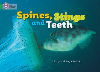 Kniha Spines, Stings and Teeth Andy Belcher