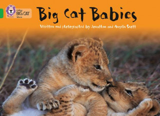 Kniha Big Cat Babies Angela Scott