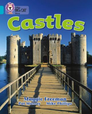 Kniha Castles Maggie Freeman