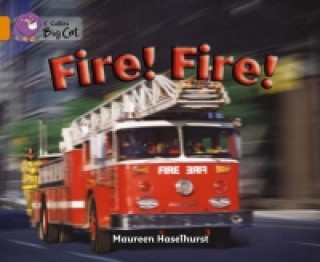Knjiga Fire! Fire! Maureen Haselhurst