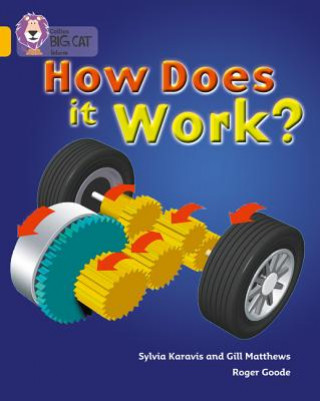 Knjiga How Does It Work Gill Matthews