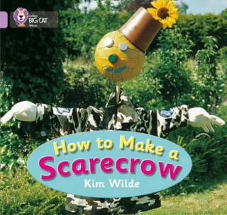 Könyv How To Make a Scarecrow Kim Wilde