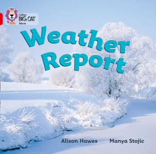 Kniha Weather Report Alison Hawes