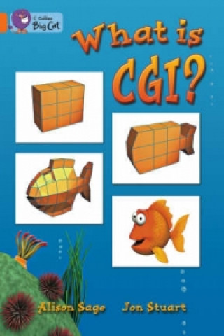 Carte What Is CGI? Alison Sage