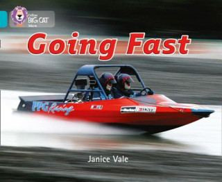 Книга Going Fast Janice Vale