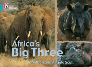 Kniha Africa's Big Three Angela Scott