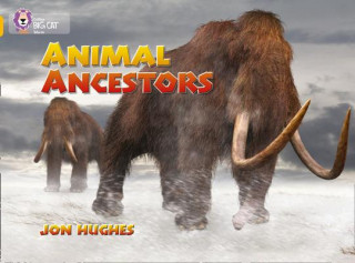 Carte Animal Ancestors Jon Hughes