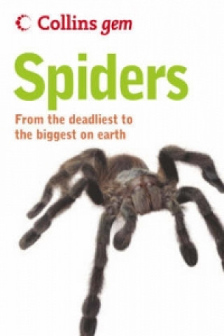 Kniha Spiders Paul Hillyard