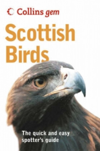 Carte Scottish Birds Valerie Thom