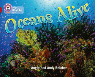 Carte Oceans Alive Angie Belcher