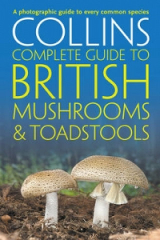 Kniha Collins Complete British Mushrooms and Toadstools Paul Sterry