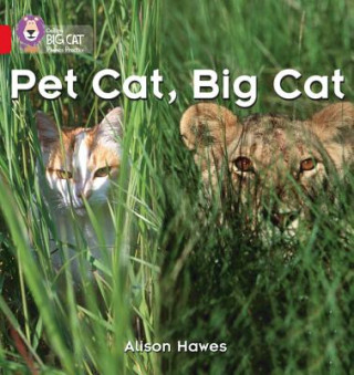 Książka Pet Cat, Big Cat Alison Hawes