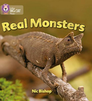Kniha Real Monsters Nic Bishop